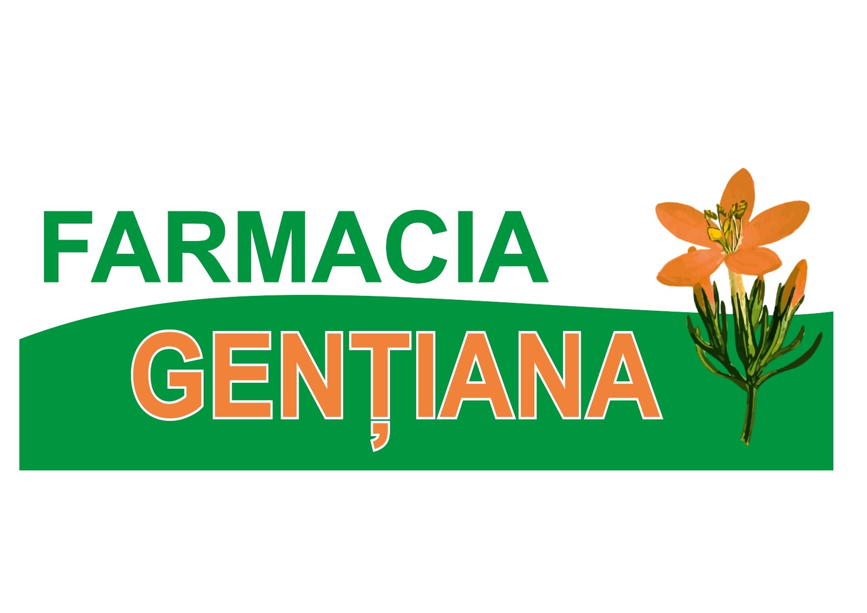gentiana